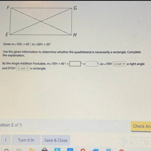 I need help can you help me please i need to get a good grade in the homework