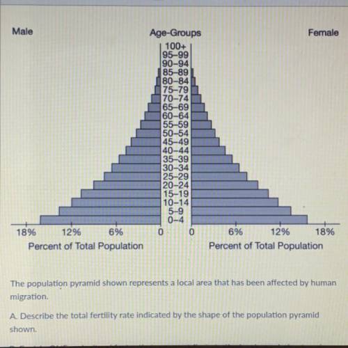 A. Describe the total fertility rate indicated by the shape of the population pyramid

shown.
B. E