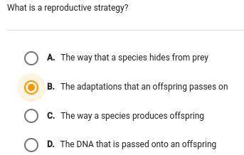 What is a reproductive strategy?