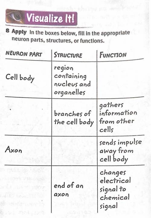 In the boxes below, fill in the appropriate neuron parts, structures, or functions.
