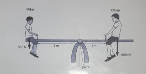 Mike is smaller than Oliver but the see-saw balances.

Explain why it balances, using the principl