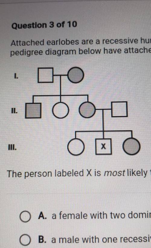 The person labeled X is most likely to be

A. a female with two dominant alleles  B. a male with o