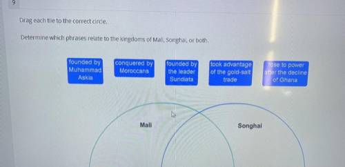 Determine which phrases relate to the kingdoms of Mali, Songhai, or both.