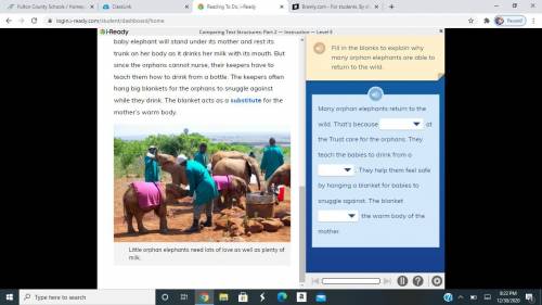 Fill in the blanks of why orphan elephants are able to return to the wild
i ready