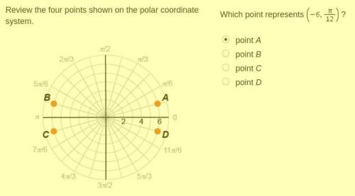 What is the answer? I need help quick!