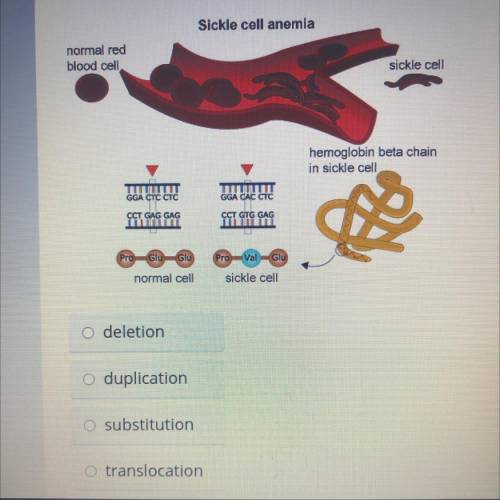 select the correct answer sickle cells ￼ disease is a here￼ditary mutation that causes The red bloo