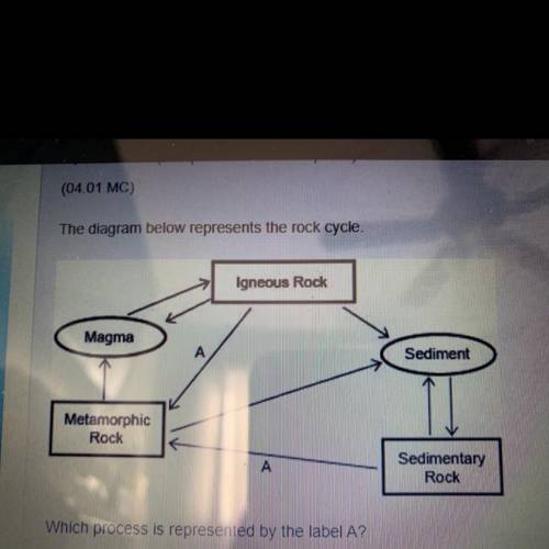 The diagram below represents the rock cycle.

Which process is represented by the label A?
Compact