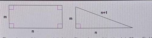 The perimeter of the rectangle is 34 cm. The perimeter of the triangle is 30 cm. Find the value of