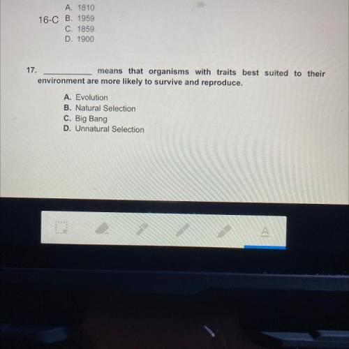 I need the answer for number 17 pls