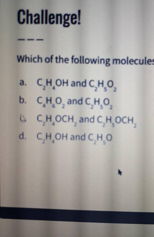 Which of the following molecules are isomers? Please look at the picture for reference