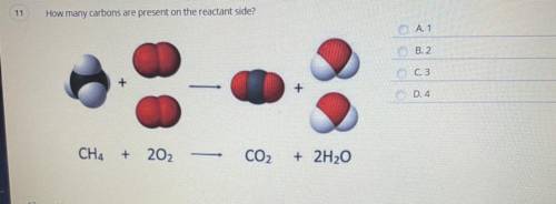 How many carbons are present on the reactant side??