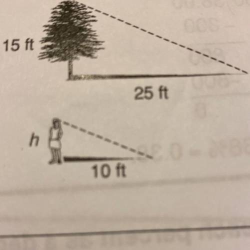 Find missing Heights