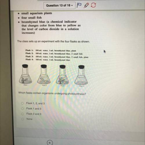 Which flasks contain organisms undergoing photosynthesis?

Flask 1, 2, and 3
Flask 1 and 3
Flask 2