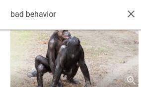 This whot I found when I search up bad behavior,