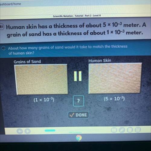 Human skin has a thickness of about 5 * 10-3 meter. A

grain of sand has a thickness of about 1x 1