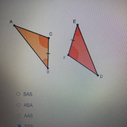 Identify the correct Triangle Congruence Theorem that describes the figure below.

A. SAS
B. ASA
C