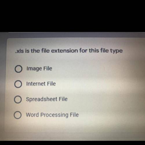 .xls is the file extension for this file type

A. Image File
B. Internet File
C. Spreadsheet File