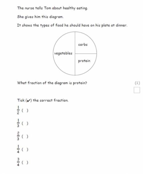 What fraction of the diagram is Protein?