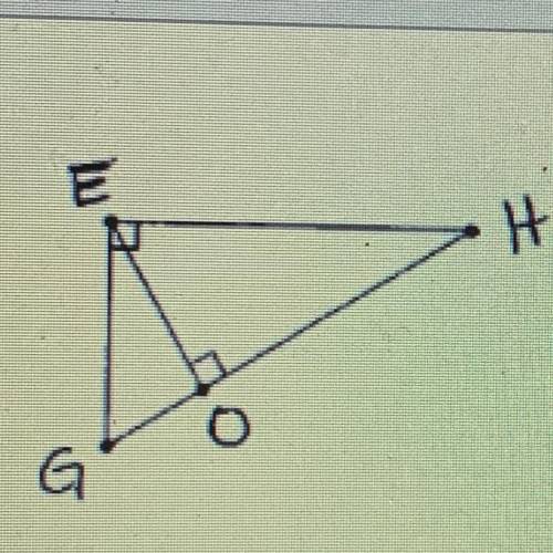 GO = 4, OH = 25
Find EO
