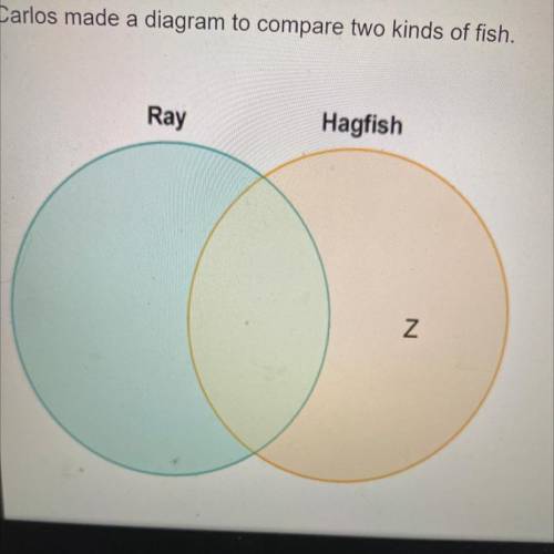 Carlos made a diagram to compare two kinds of fish. which label belongs in the area marked Z?

a.