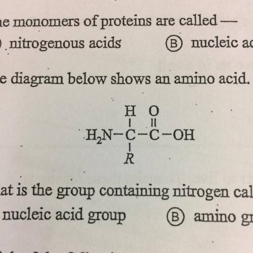 What is the group containing nitrogen called ? A. Nucleic Avis group. B. Amino group. C. Polypeptid