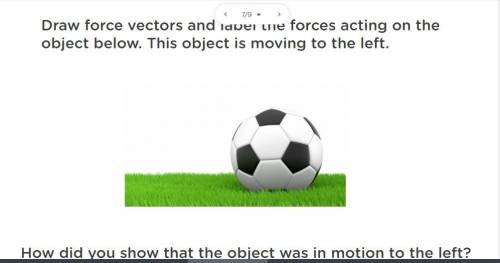 Can someone explain what and where the force vectors would go?