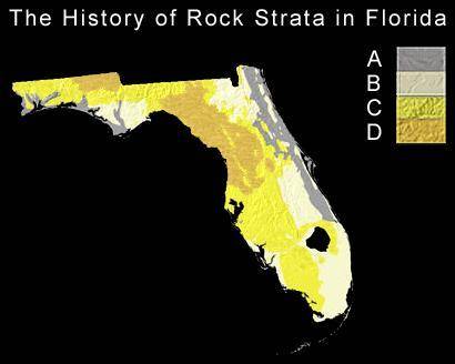 In the Florida map shown below, use the law of superposition to determine which rocks are youngest?