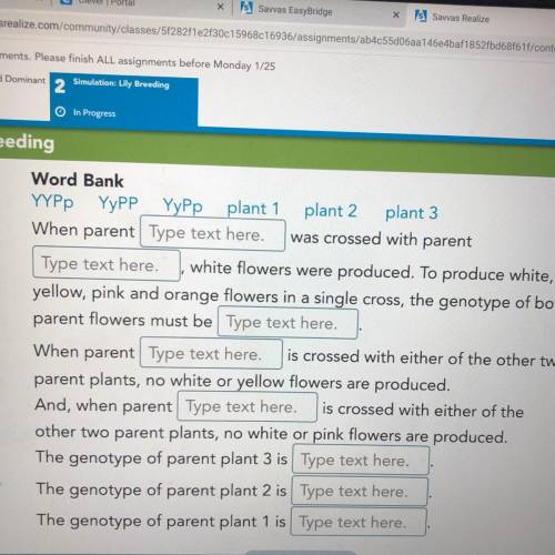 Word Bank

YYPp YyPPYyPp plant 1 plant 2 plant 3
When parent Type text here. was crossed with pare