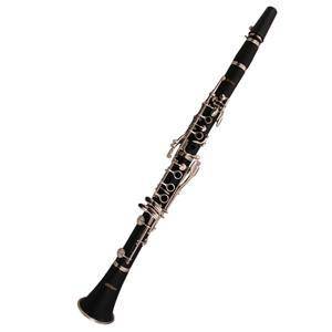 The clarinet is a percussion instrument.
Question 4 options:
True
False