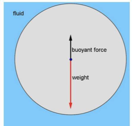 Displacement and Buoyancy

Buoyancy is the ability to float in a liquid such as water. Archimedes’