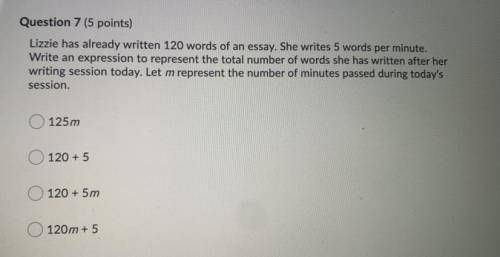 lizzie has already written 120 words of an essay. she writes 5 words per minute. write an expressio