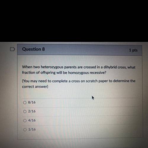 Can someone please help me find the answer for this question