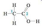 What is the expected hybridization of the carbon labeled 2 in the acetic acid molecule shown below?