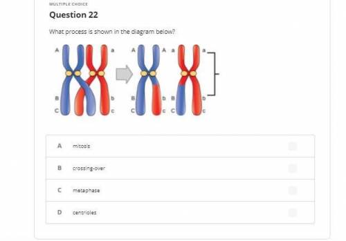 Biology (multiple choice)