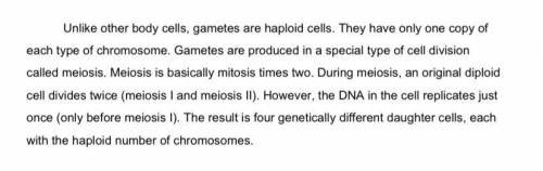 Explain how meiosis results in four haploid daughter cells.

Please help this is due today and I r