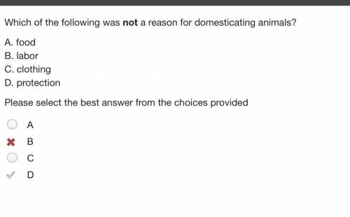 Which of the following was not a reason for domesticating animals?

A. food
B. labor
C. clothing
D