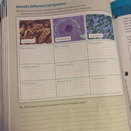 12. Define each cell system. Identify the cell system boundary, two or more

components, and one o