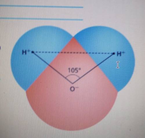 Please help me

The measure of the angle formed at the center of anoxygen atom in a water molecule