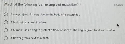 Which of the following is an example of mutualism?