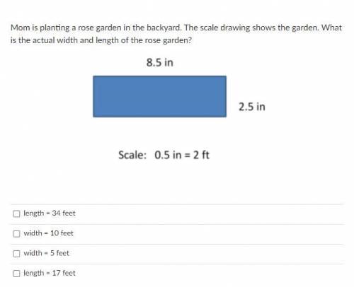 Mom is planting a rose garden in the backyard. The scale drawing shows the garden. What is the actu