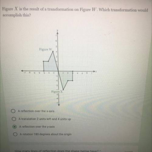 Can someone help me on this question I don’t understand it