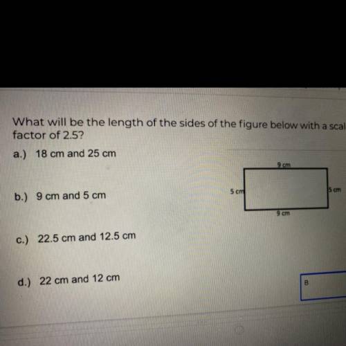 IS THE ANSWER B JUST TRYING TO CHECK