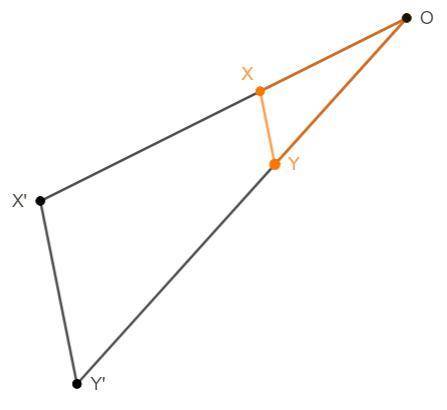 What is the length of segment OX’? Explain and/or show your work