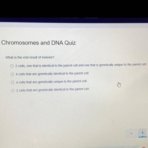 Chromosomes and DNA Quiz