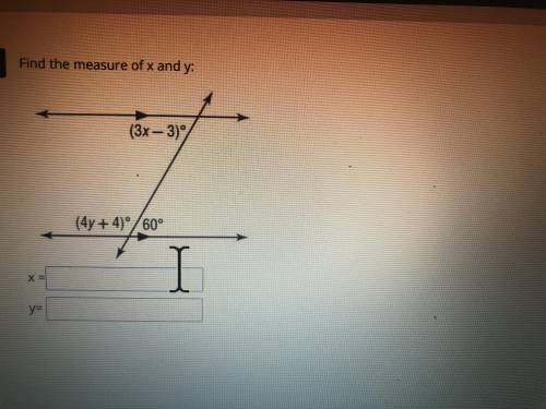 Find the measure of x and y