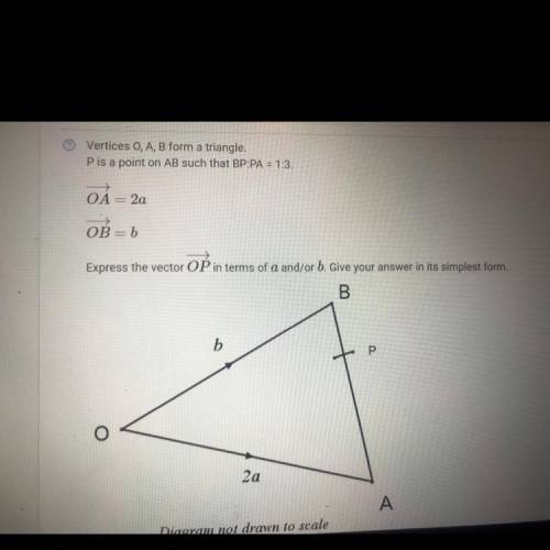 Plsssss help me with this