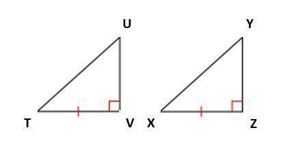 (a) What additional information is needed to prove the triangles are congruent by SSS Postulate? Ex