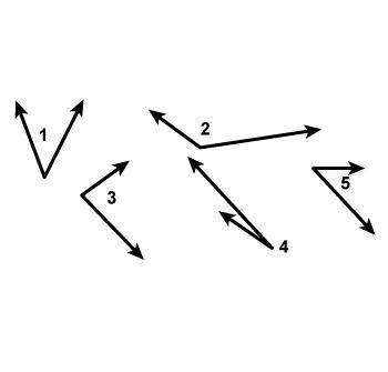 Which angles appear to be congruent?
A 1 and 2
B 1 and 5
C 2 and 4
D 4 and 5