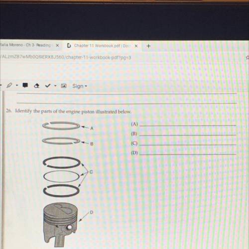 Identify the parts of the engine piston illustrated below.
(A)
(B)
(C)
(D)