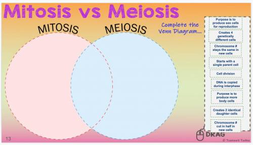 Mitosis vs Meiosis, someone help me with this, ill give brainiest.